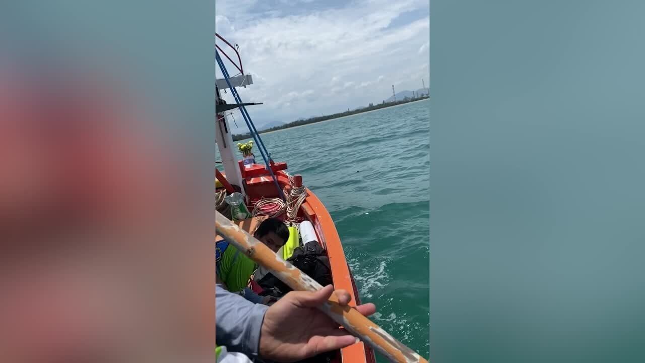 Fishermen rescue cat swimming in the sea after leaping from passing boat
